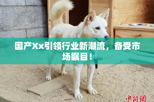 国产Xx引领行业新潮流，备受市场瞩目！
