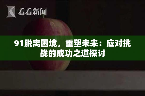 91脱离困境，重塑未来：应对挑战的成功之道探讨
