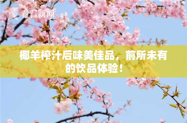 椰羊榨汁后味美佳品，前所未有的饮品体验！