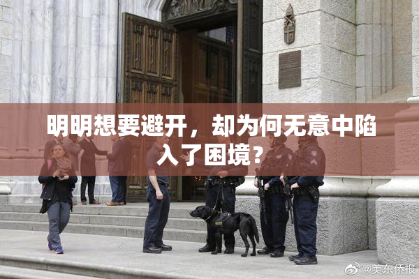 明明想要避开，却为何无意中陷入了困境？