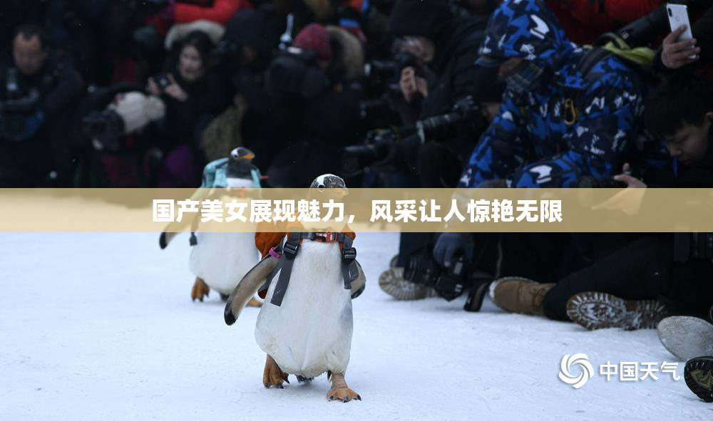 国产美女展现魅力，风采让人惊艳无限
