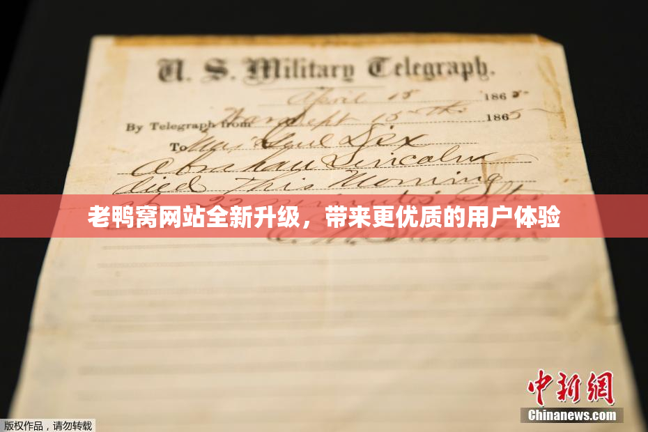 老鸭窝网站全新升级，带来更优质的用户体验