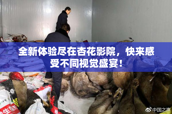 全新体验尽在杏花影院，快来感受不同视觉盛宴！