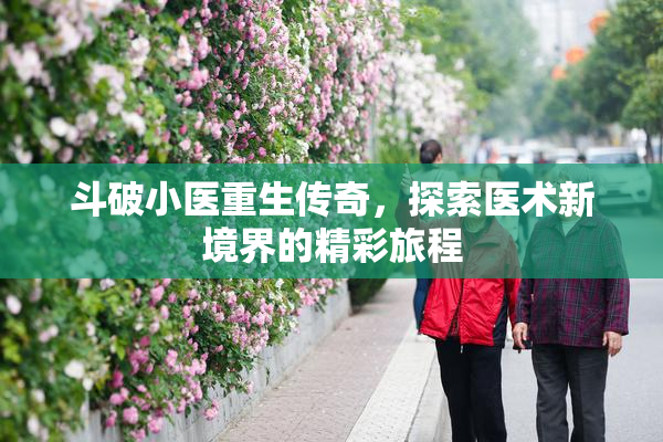 斗破小医重生传奇，探索医术新境界的精彩旅程