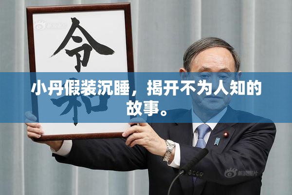 小丹假装沉睡，揭开不为人知的故事。