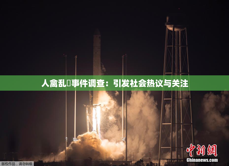 人禽乱婬事件调查：引发社会热议与关注