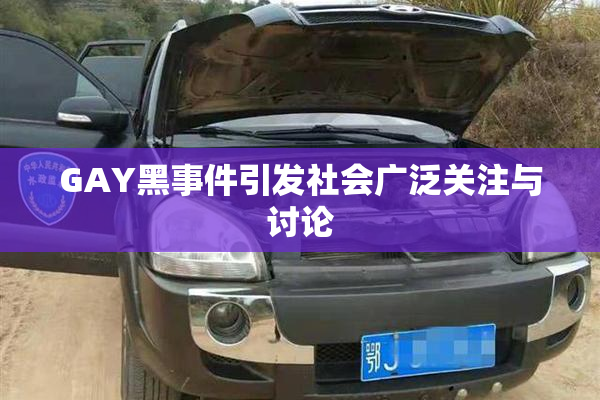GAY黑事件引发社会广泛关注与讨论