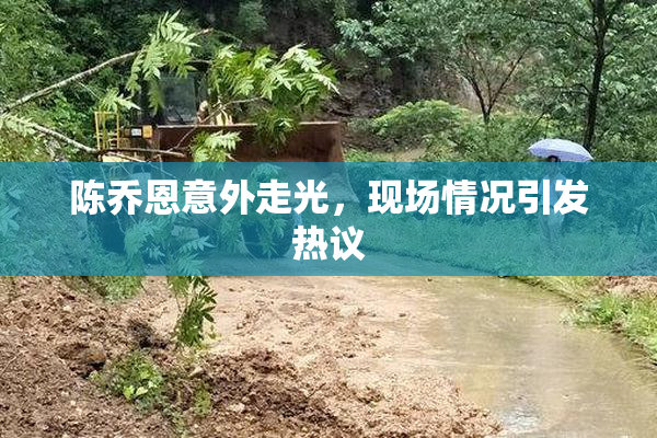 陈乔恩意外走光，现场情况引发热议