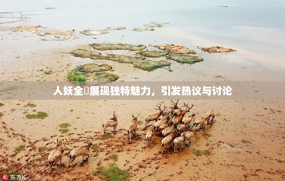 人妖全祼展现独特魅力，引发热议与讨论