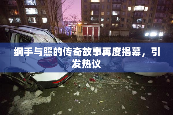 纲手与照的传奇故事再度揭幕，引发热议