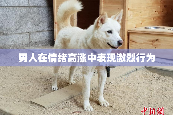 男人在情绪高涨中表现激烈行为