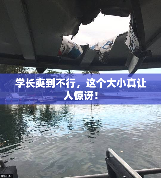 学长爽到不行，这个大小真让人惊讶！