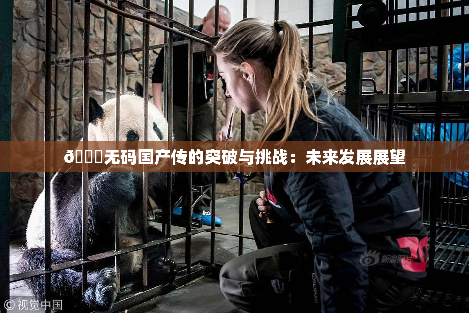 🔞无码国产传的突破与挑战：未来发展展望