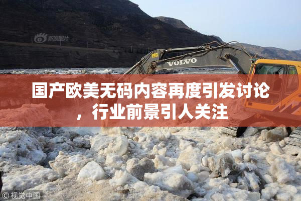 国产欧美无码内容再度引发讨论，行业前景引人关注