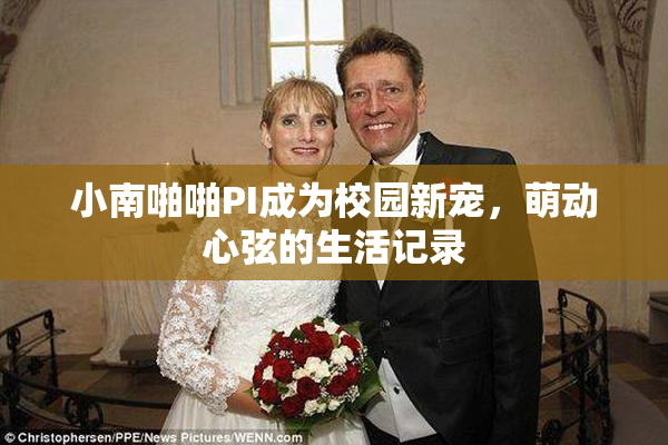 小南啪啪PI成为校园新宠，萌动心弦的生活记录