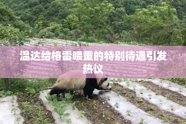 温达给格雷喂重的特别待遇引发热议