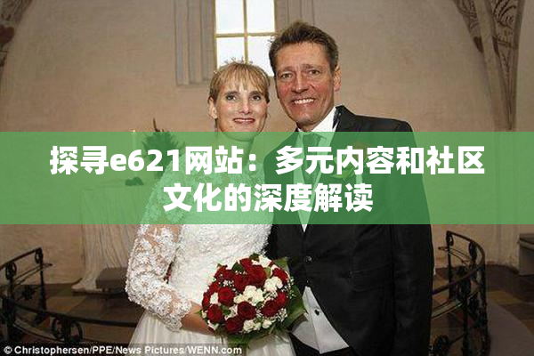 探寻e621网站：多元内容和社区文化的深度解读