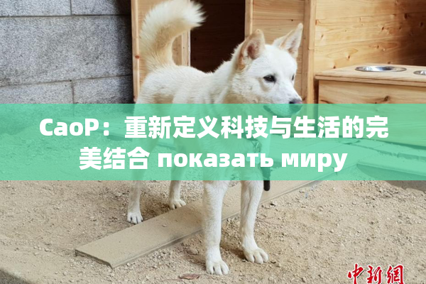 CaoP：重新定义科技与生活的完美结合 показать миру