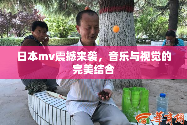 日本mv震撼来袭，音乐与视觉的完美结合