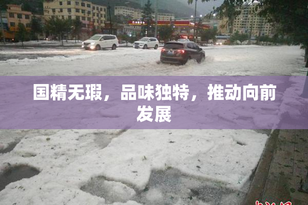 国精无瑕，品味独特，推动向前发展