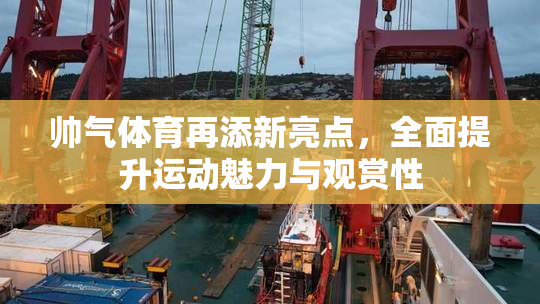 帅气体育再添新亮点，全面提升运动魅力与观赏性