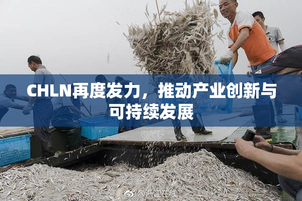 CHLN再度发力，推动产业创新与可持续发展
