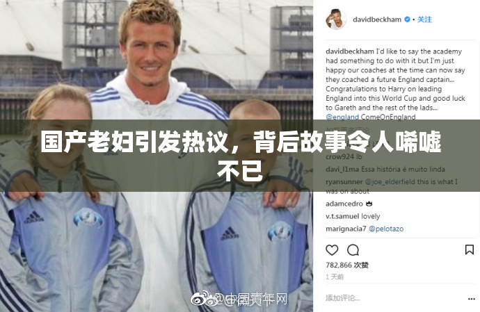 国产老妇引发热议，背后故事令人唏嘘不已