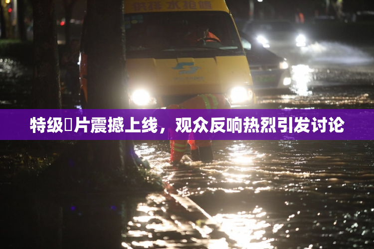 特级婬片震撼上线，观众反响热烈引发讨论