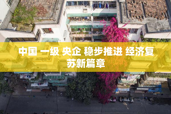中国 一级 央企 稳步推进 经济复苏新篇章
