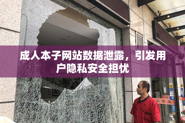 成人本子网站数据泄露，引发用户隐私安全担忧