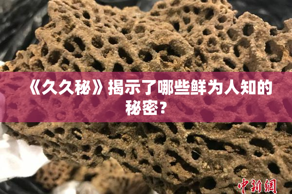 《久久秘》揭示了哪些鲜为人知的秘密？