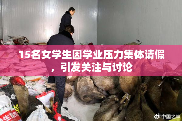 15名女学生因学业压力集体请假，引发关注与讨论