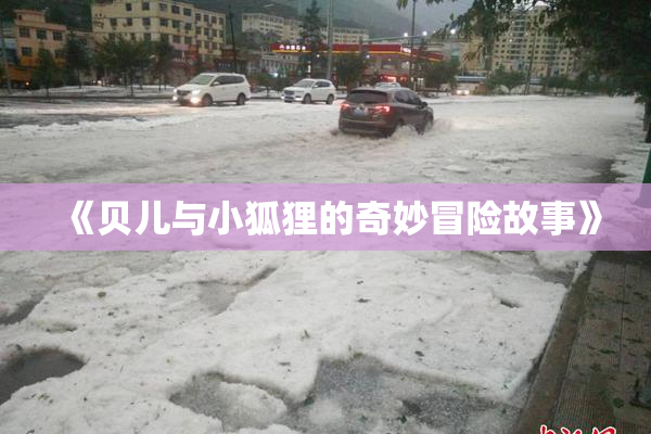 《贝儿与小狐狸的奇妙冒险故事》