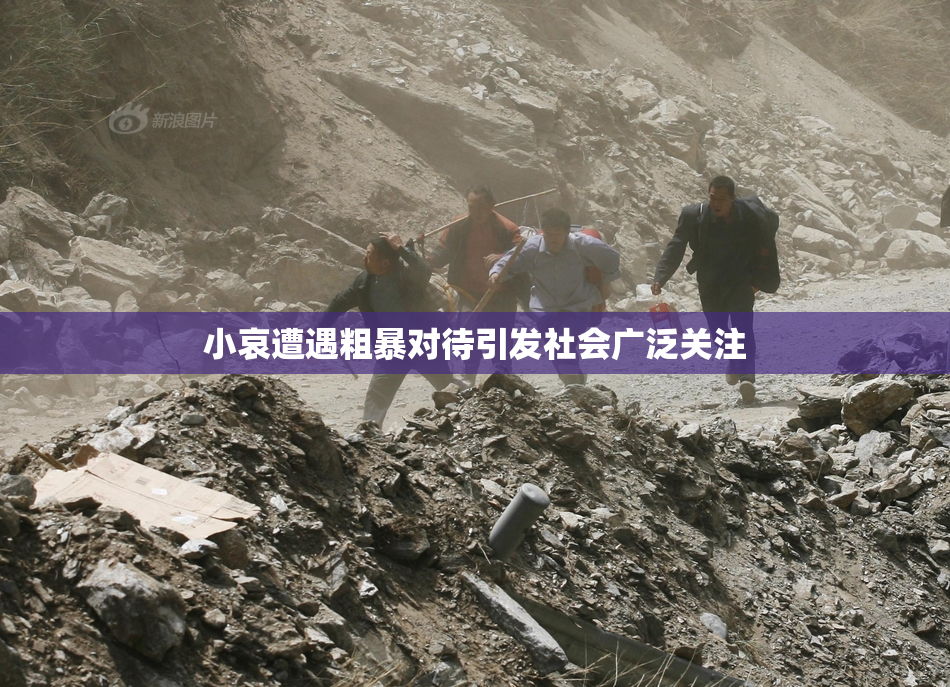 小哀遭遇粗暴对待引发社会广泛关注