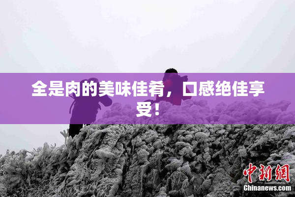 全是肉的美味佳肴，口感绝佳享受！