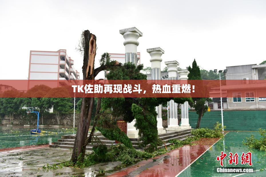 TK佐助再现战斗，热血重燃！