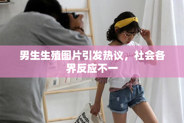 男生生殖图片引发热议，社会各界反应不一