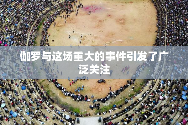 伽罗与这场重大的事件引发了广泛关注