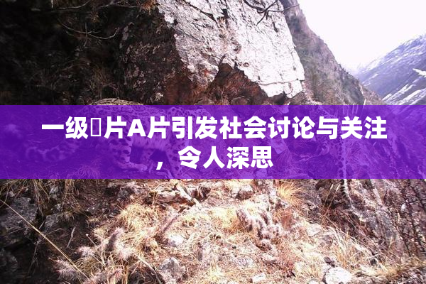 一级婬片A片引发社会讨论与关注，令人深思