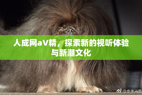人成网aV精，探索新的视听体验与新潮文化