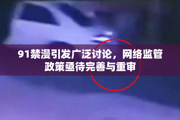 91禁漫引发广泛讨论，网络监管政策亟待完善与重审