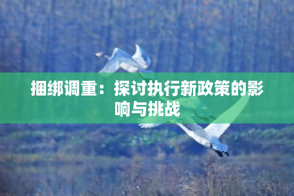 捆绑调重：探讨执行新政策的影响与挑战