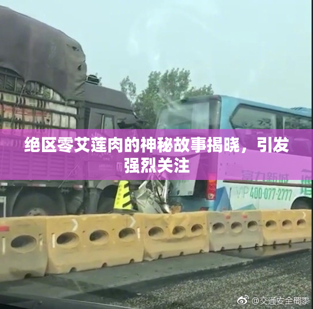 绝区零艾莲肉的神秘故事揭晓，引发强烈关注