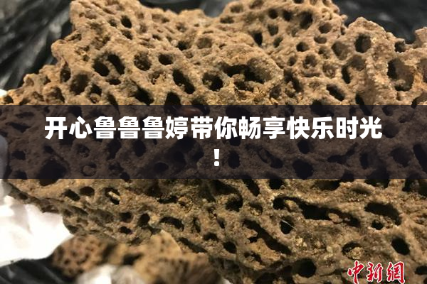开心鲁鲁鲁婷带你畅享快乐时光！