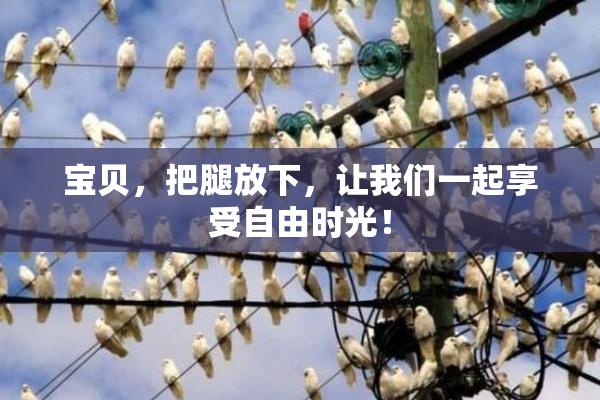 宝贝，把腿放下，让我们一起享受自由时光！
