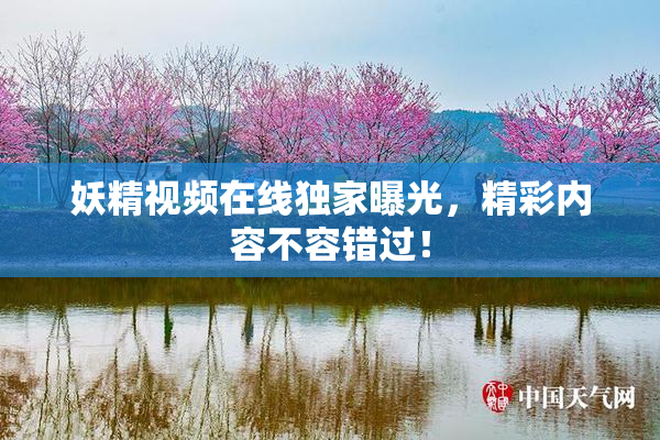 妖精视频在线独家曝光，精彩内容不容错过！