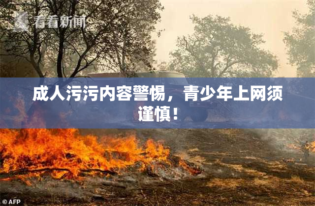 成人污污内容警惕，青少年上网须谨慎！