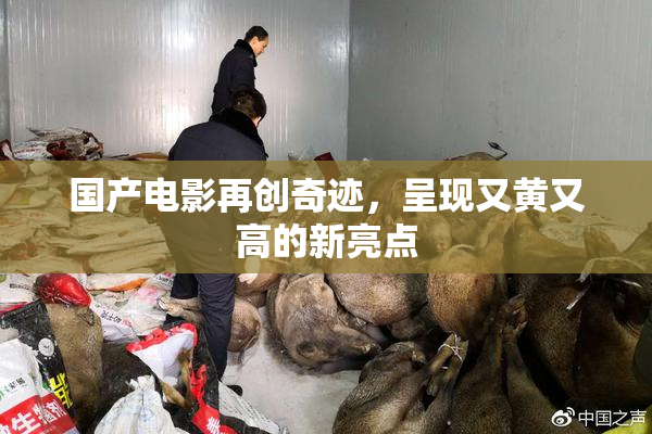 国产电影再创奇迹，呈现又黄又高的新亮点