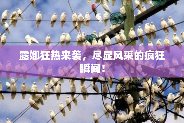 露娜狂热来袭，尽显风采的疯狂瞬间！