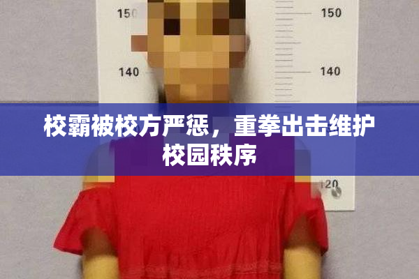 校霸被校方严惩，重拳出击维护校园秩序